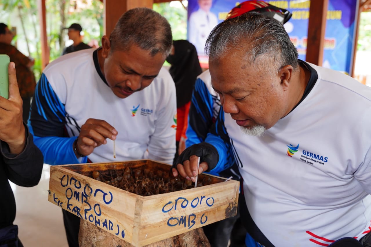 Foto 6 dari 6: Panen Madu di Kelurahan, Wali Kota: Budidaya Lebah Madu di Kelurahan Mulai Menghasilkan
