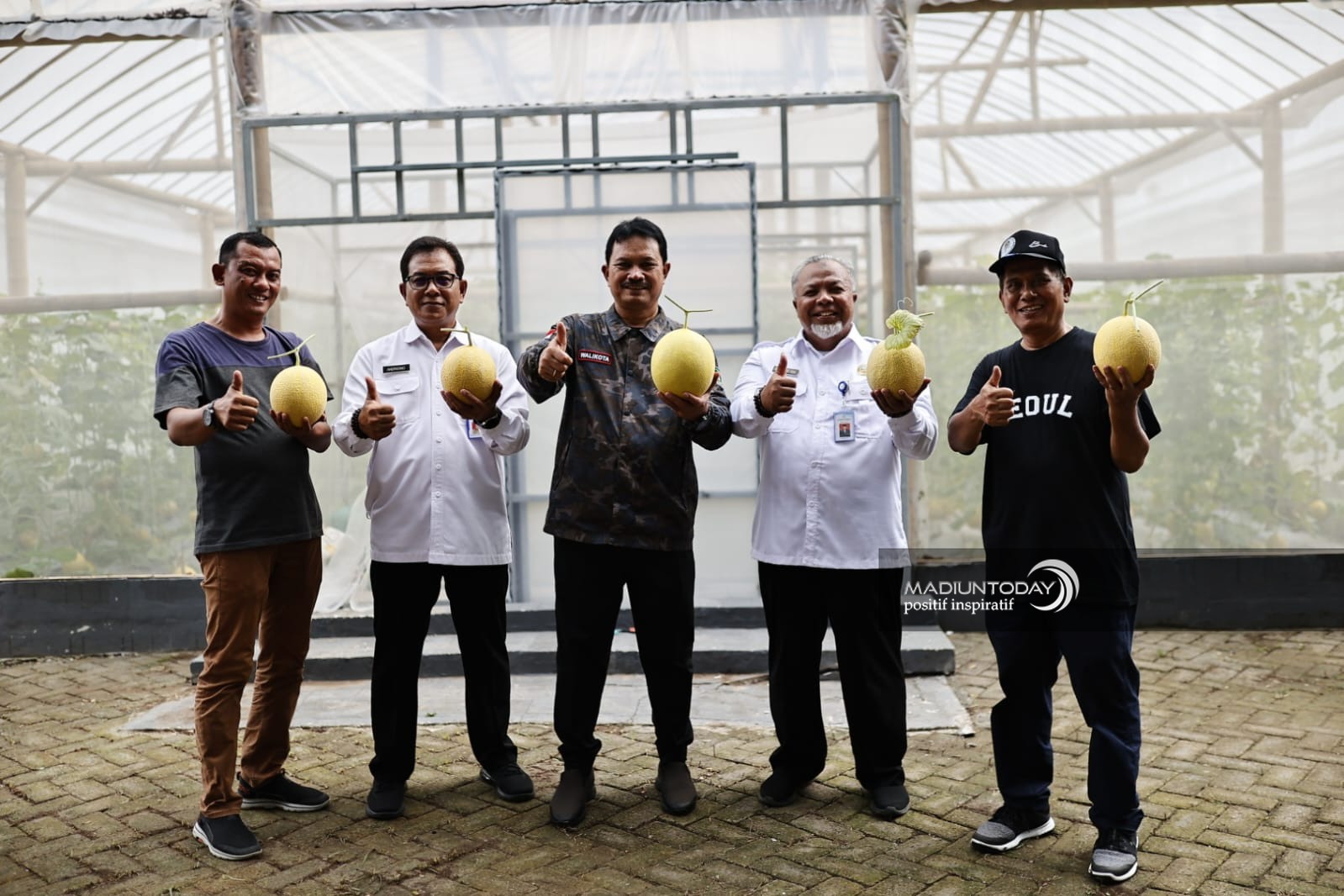 Foto 5 dari 5: Green House Ngrowo Bening Hasilkan 3,6 Ton Melon Golden