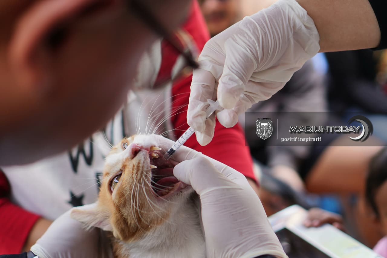 Foto 1 dari 19: Bukan Cuma yang Sakit, 100 Hewan Peliharaan Diperiksa Gratis di RTH Kanigoro