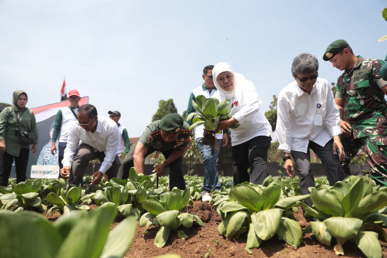 Foto 1 dari 11: Tanam 10 Ribu Pohon Hingga Panen Tanaman Hortikultura Jadi Bagian Peringatan Puncak Hari Lingkungan Hidup Sedunia