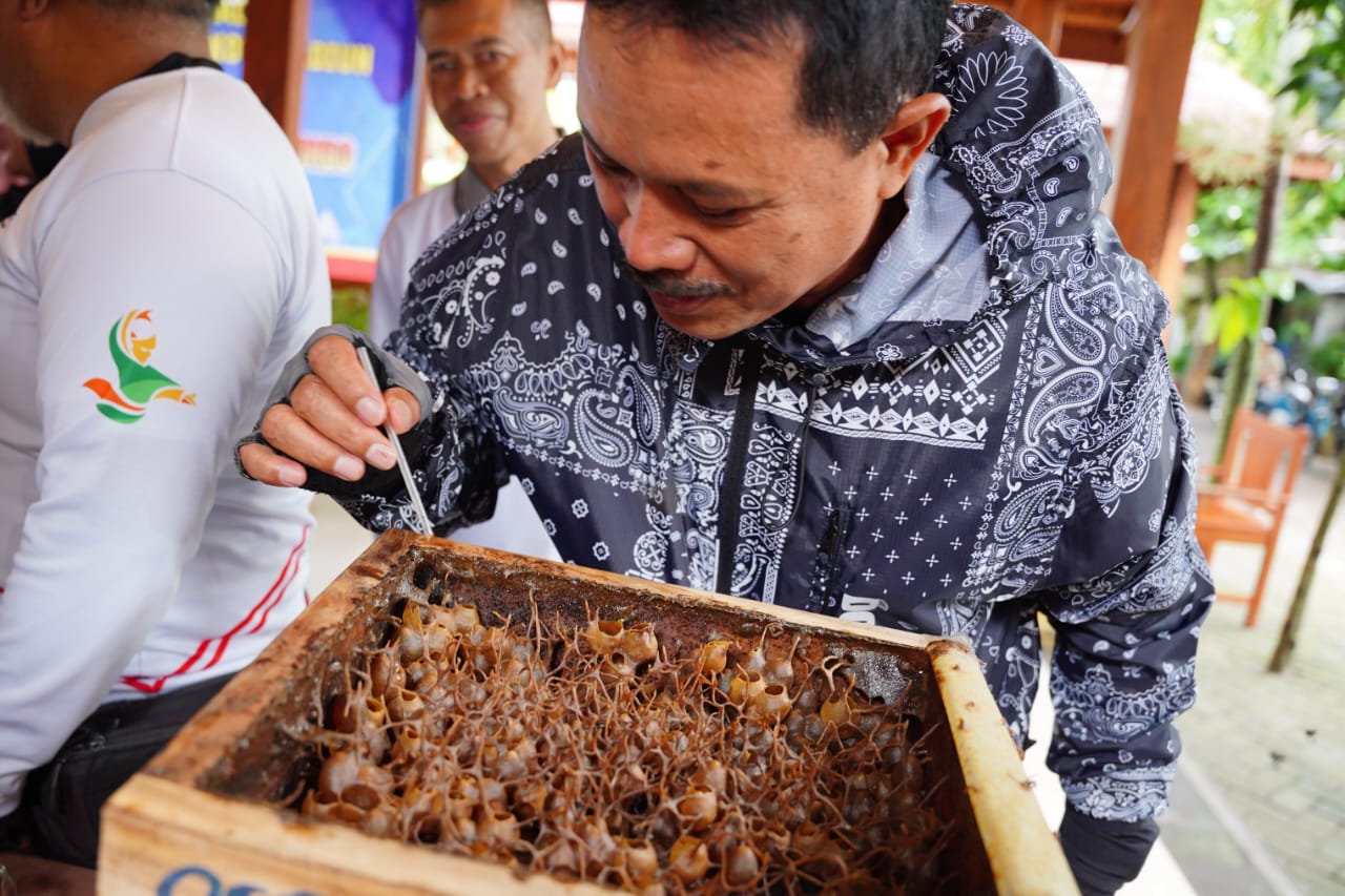 Panen Madu di Kelurahan, Wali Kota: Budidaya Lebah Madu di Kelurahan Mulai Menghasilkan