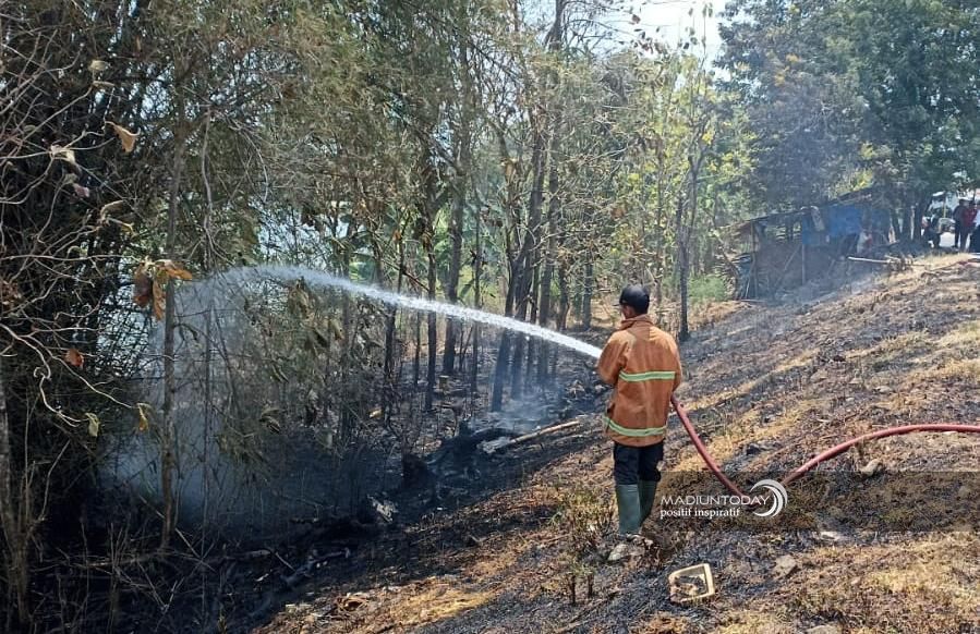 Foto utama berita: Banyak Kasus Kebakaran Lahan, Damkar Beri Peringatan