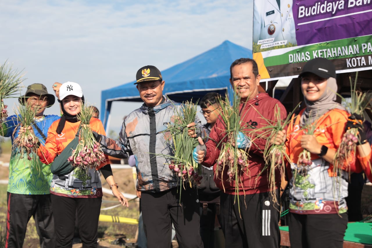 Foto 1 dari 7: Panen Bawang Merah, Wali Kota Gratiskan Aset Pemda untuk Uji Coba Pertanian
