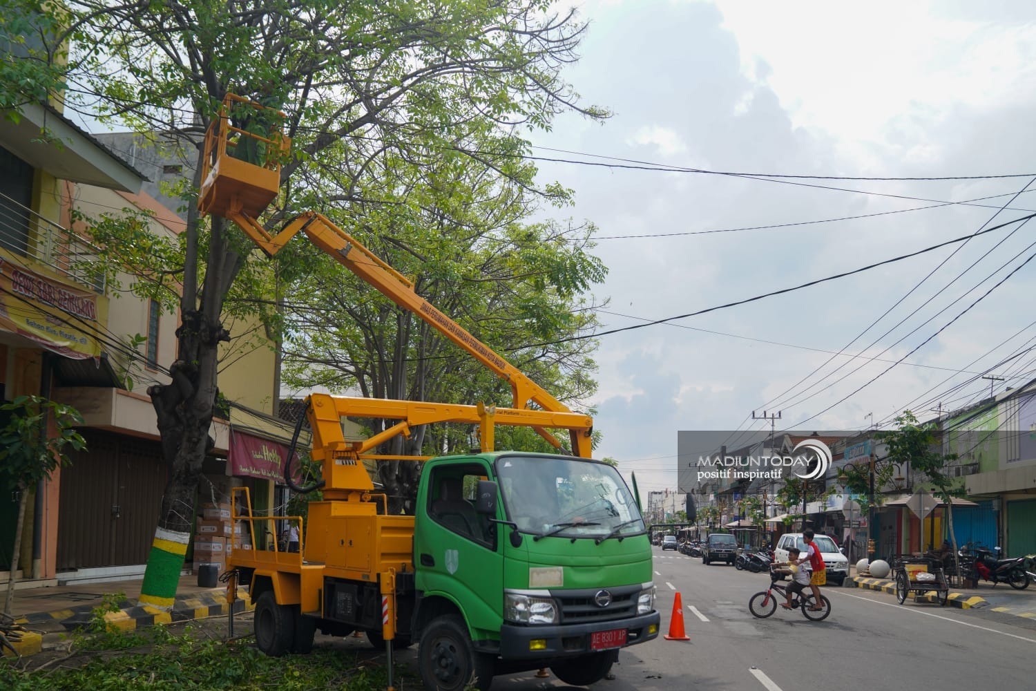 Minimalkan Terpaan Angin, Wali Kota: Tinggi Pohon Jangan Lebih Tujuh Meter