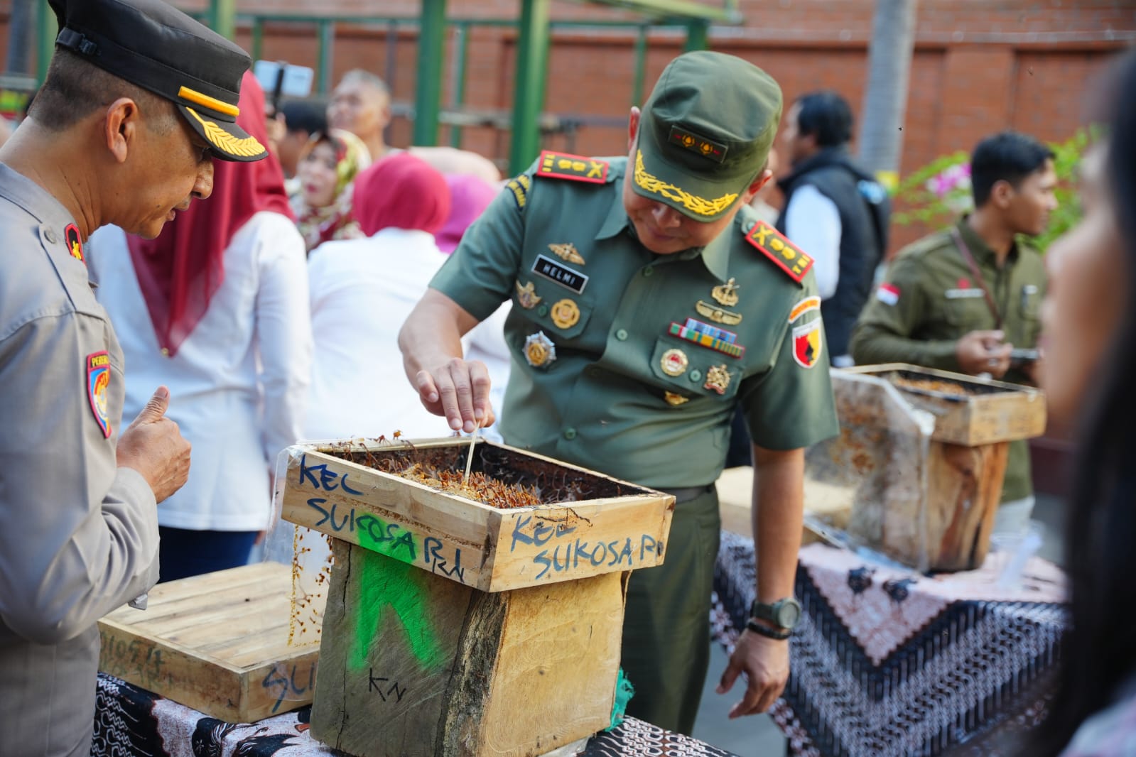 Foto 4 dari 5: Panen Madu, Wali Kota Ajak Masyarakat Rasakan Sensasi Sedot Langsung Dari Sarangnya