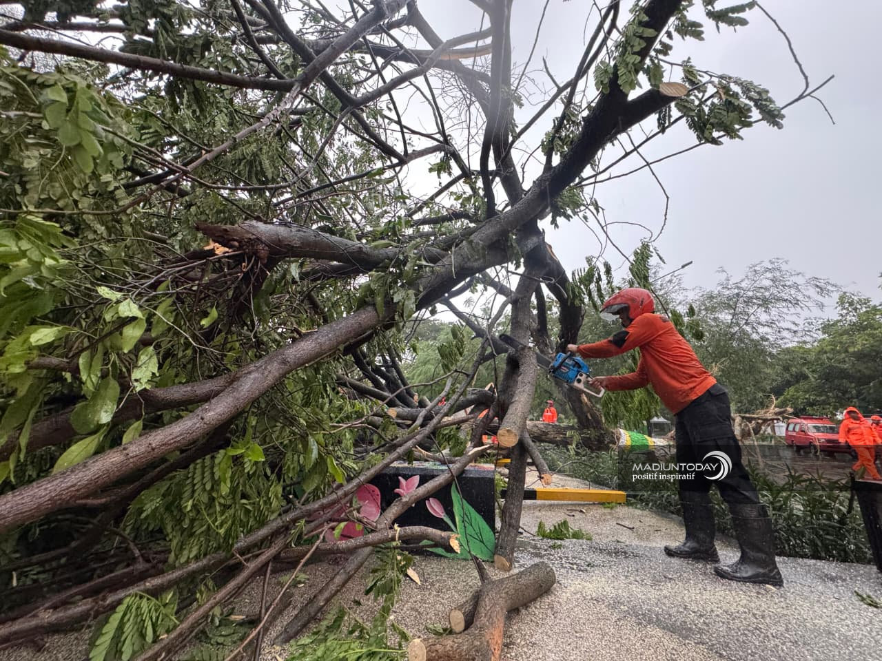 pic 2