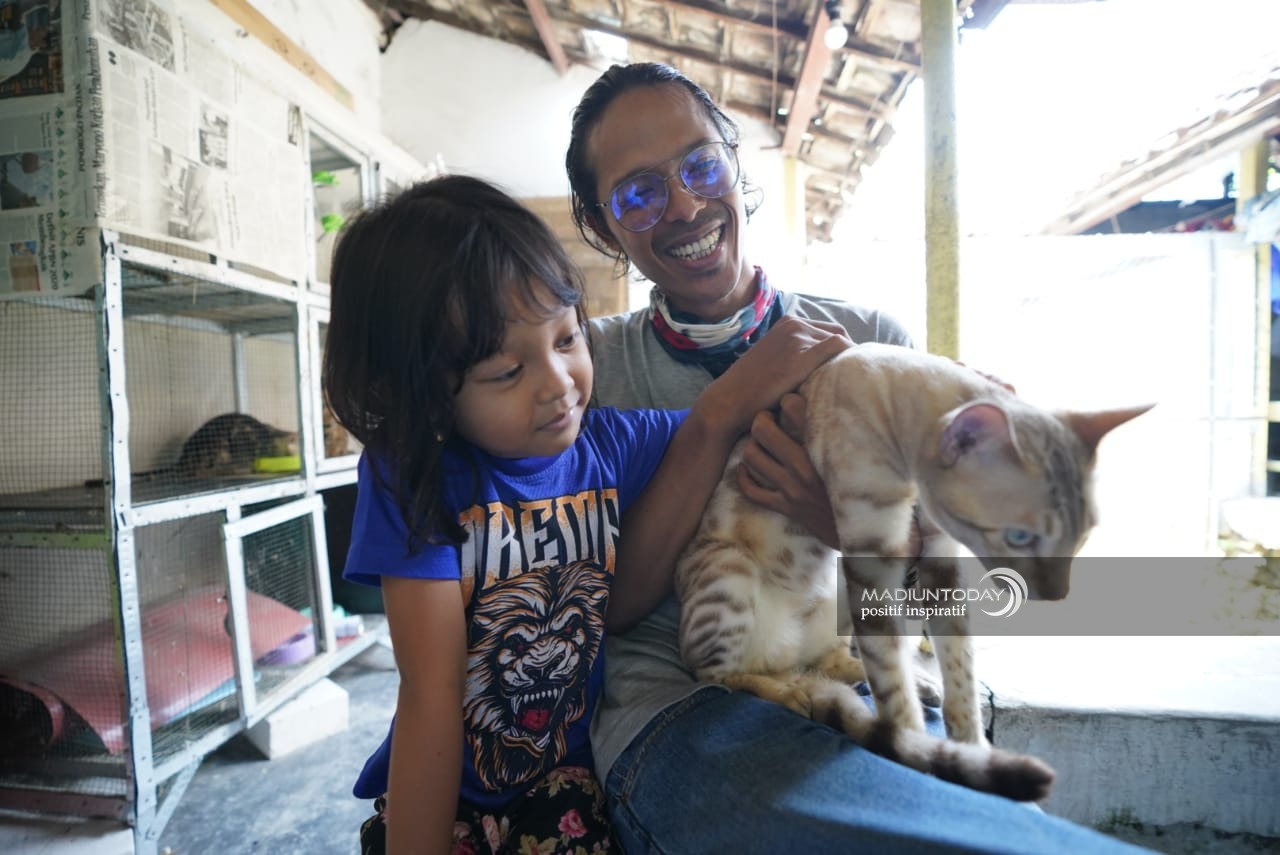 Foto 3 dari 7: Serba-Serbi Merawat Kucing Bengal, Si Aktif Nan Eksotis Yang Bikin Jatuh Hati