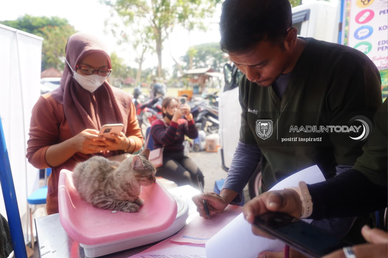 Foto 14 dari 19: Bukan Cuma yang Sakit, 100 Hewan Peliharaan Diperiksa Gratis di RTH Kanigoro