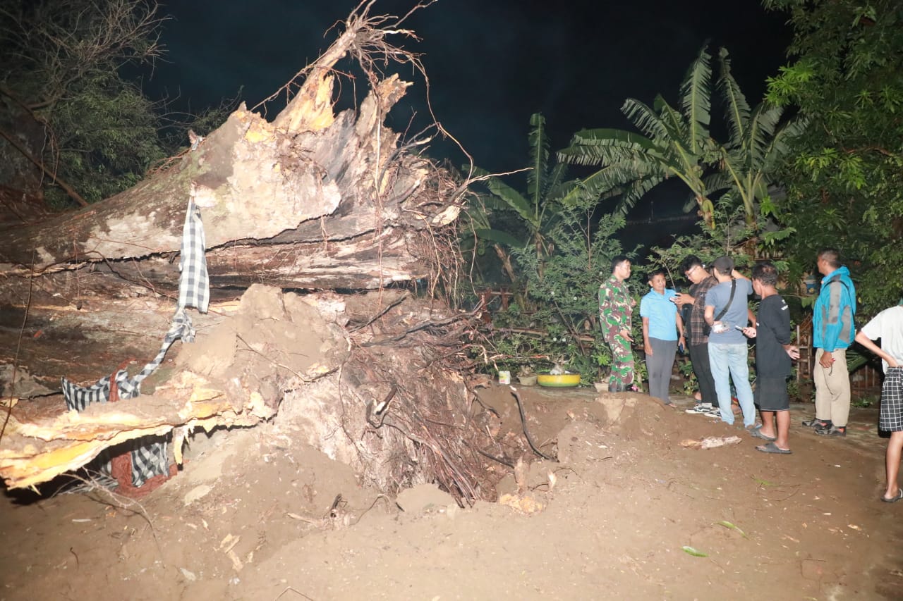 Foto 7 dari 22: Kota Madiun Diterjang Puting Beliung, Petugas Respon Cepat Bersihkan Area Terdampak