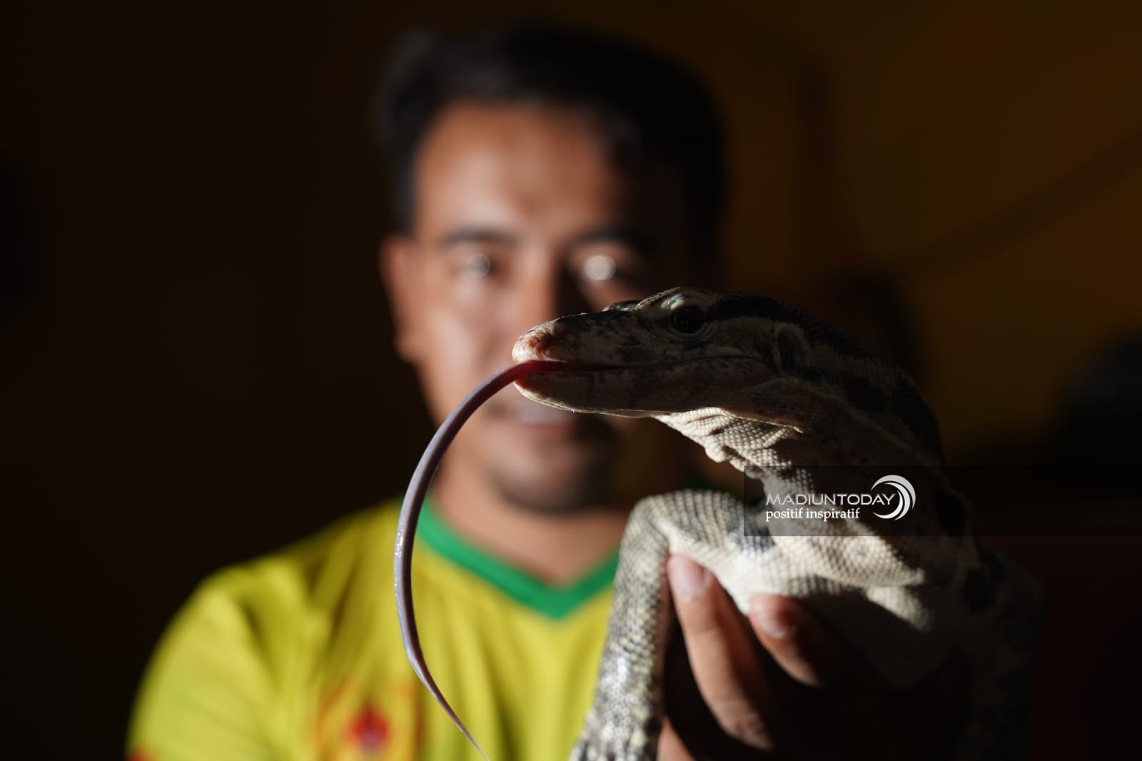 Foto 7 dari 8: Hobi Pelihara Reptil, Anggie Hilda: Mudah Rawat Ular Piton Daripada Ayam