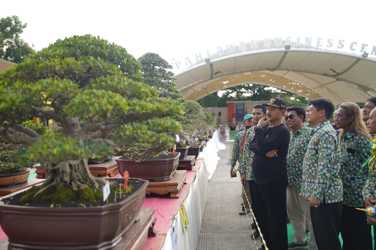 Foto utama berita: Buka Kontes dan Pameran Bonsai di PBC, Wali Kota Apresiasi Komunitas Ikut Ramaikan Kota