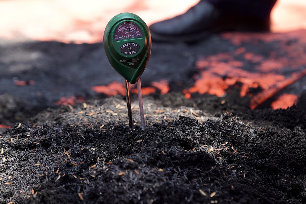 Foto 7 dari 8: Optimalkan Keberadaan P2L, DKPP Beri Pelatihan Pembuatan Nutrisi Tanaman