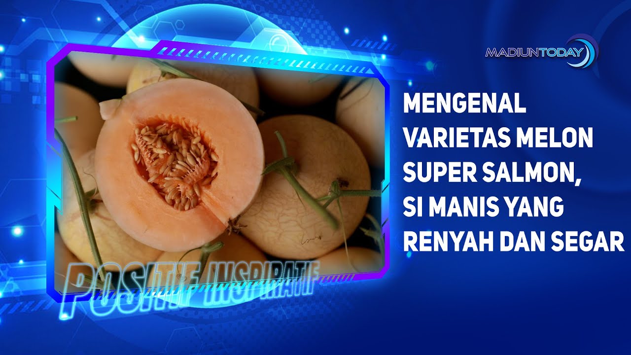 Mengenal Varietas Melon Super Salmon, Si Manis Yang Renyah Dan Segar