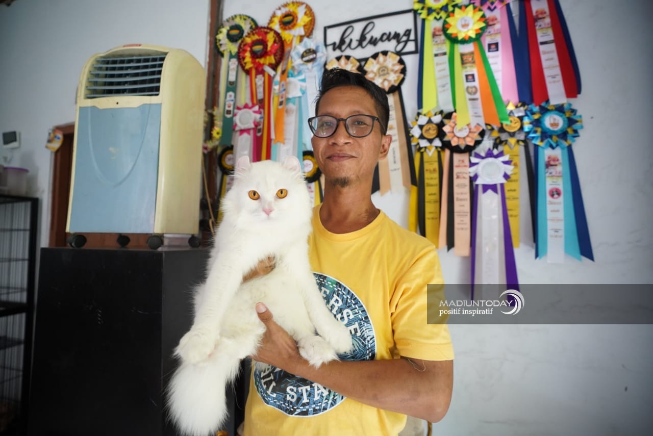 Serba-Serbi Grooming Kucing Kontes Ala Arif Widodo
