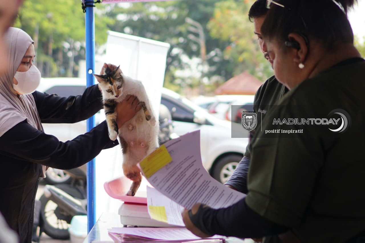 Foto 19 dari 19: Bukan Cuma yang Sakit, 100 Hewan Peliharaan Diperiksa Gratis di RTH Kanigoro