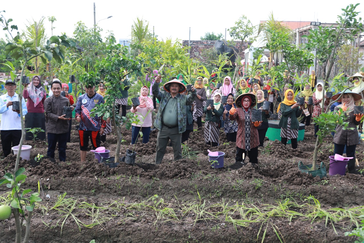 Foto utama berita: Tanam Toga di Kampung Proklim Literasi, Wali Kota Harap Bisa Jadi Jujugan Anak Sekolah Belajar Pertanian