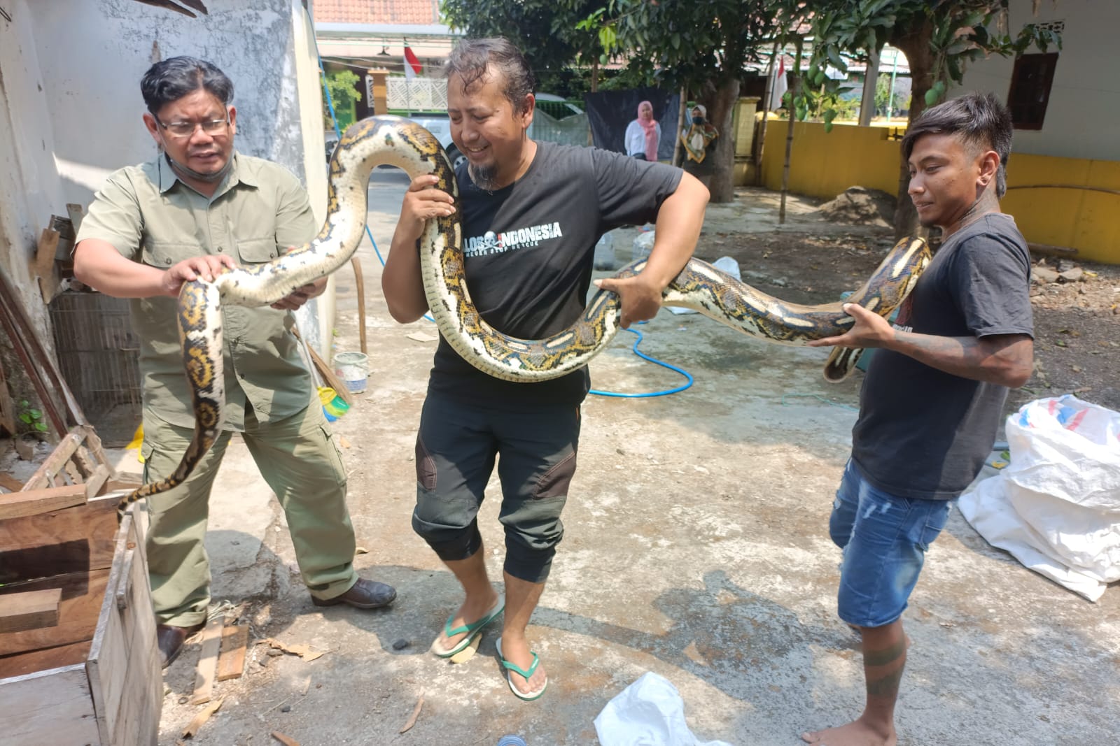 Foto 1 dari 9: Exalos Serahkan 14 Ular Hasil Rescue Ke BBKSDA