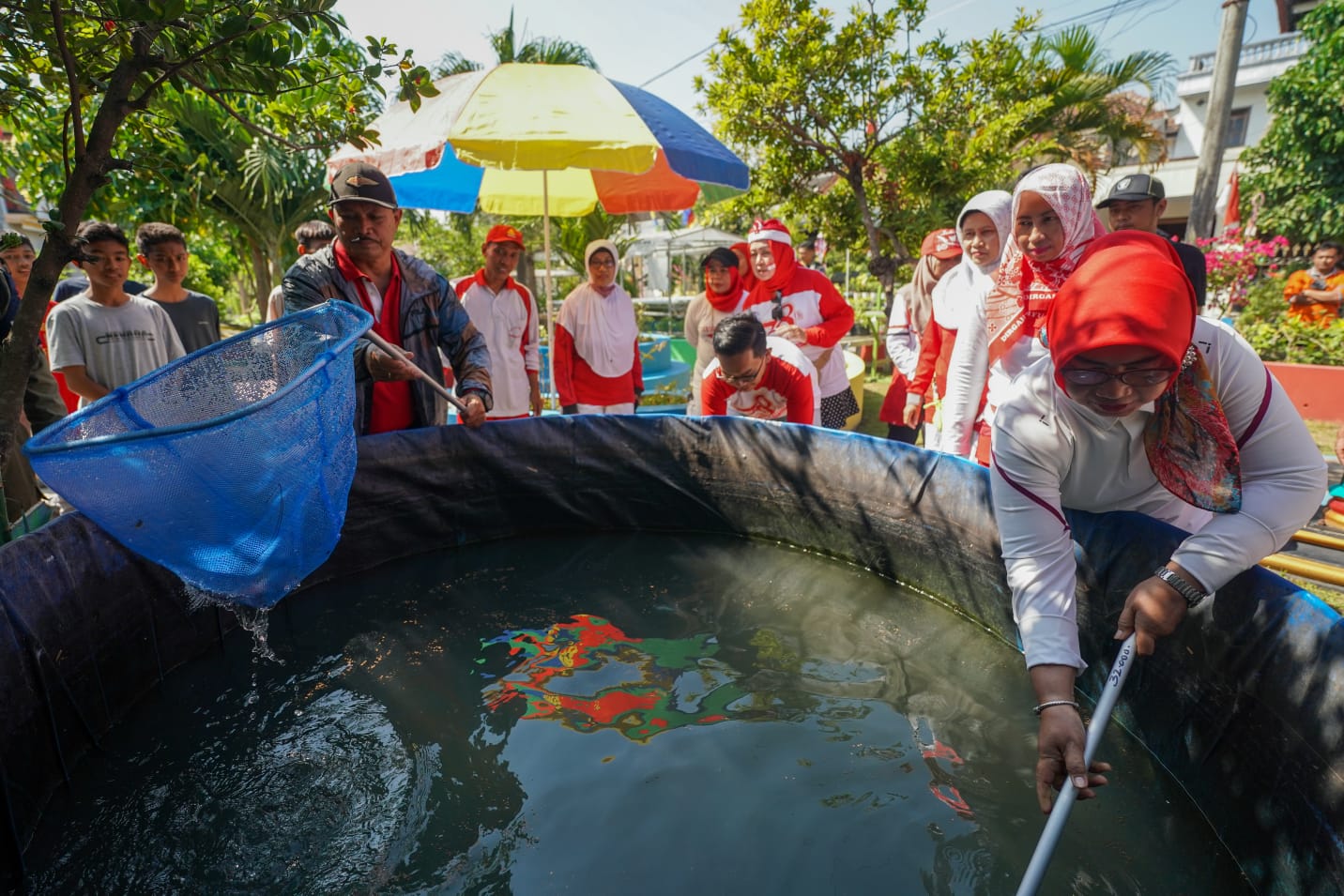 Foto 2 dari 9: Tinjau P2L Taman Asri, Wali Kota Panen Lele dan Sayur Mayur