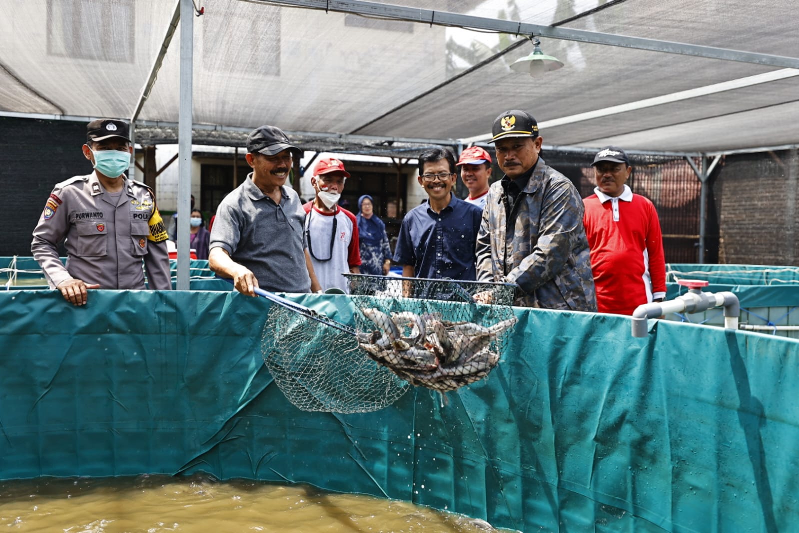 Panen Perdana, Wali Kota Bakal Kembangkan Budidaya Lele Pokdakan Tirto Miguno