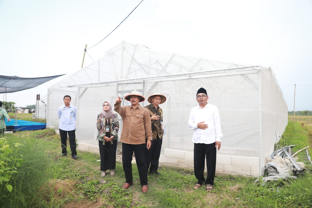 Foto 3 dari 13: Resmikan Greenhouse & Drip Irrigation System Ponpes Al Mardliyyah Madiun, Wali Kota Maidi Harap Bermanfaat
