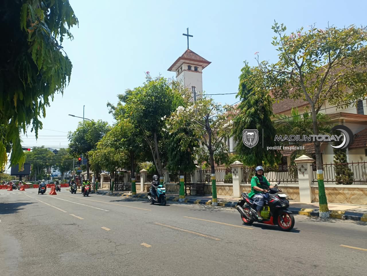 Foto 2 dari 5: Tabebuya Mekar Hiasi Kota, Jalan Ahmad Yani Jadi Sasaran Penanaman Berikutnya