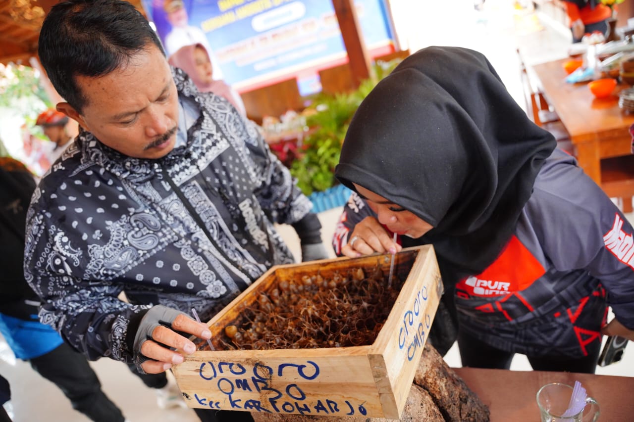 Foto 5 dari 6: Panen Madu di Kelurahan, Wali Kota: Budidaya Lebah Madu di Kelurahan Mulai Menghasilkan