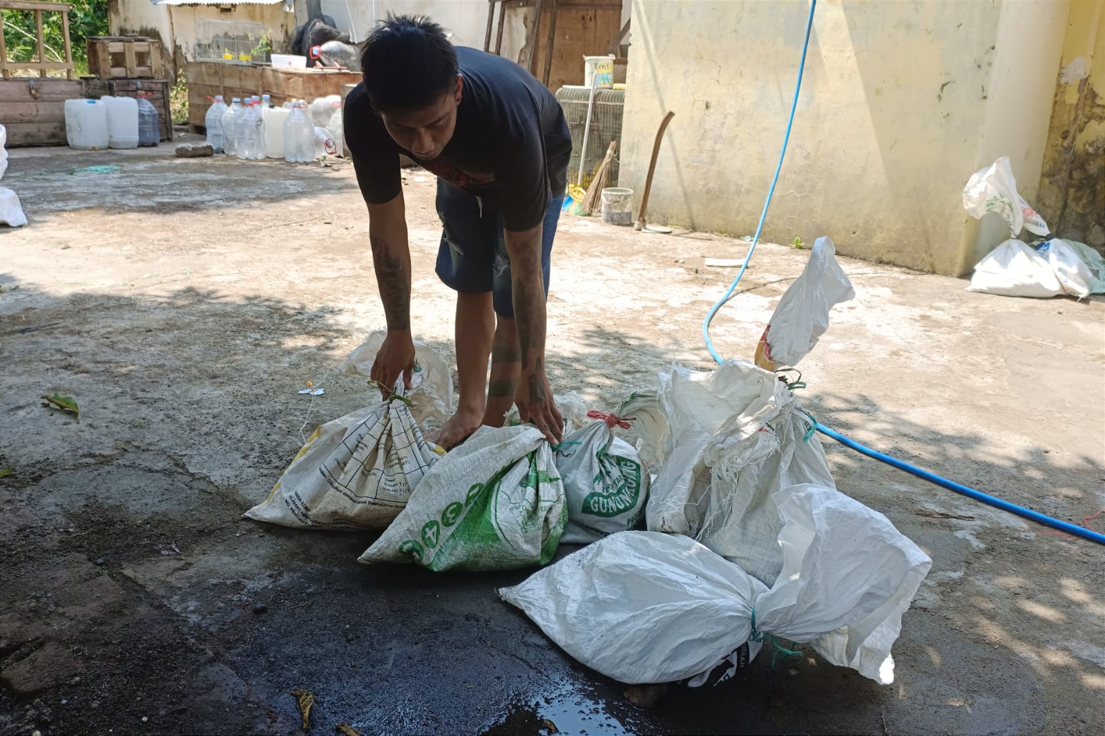 Foto 4 dari 9: Exalos Serahkan 14 Ular Hasil Rescue Ke BBKSDA