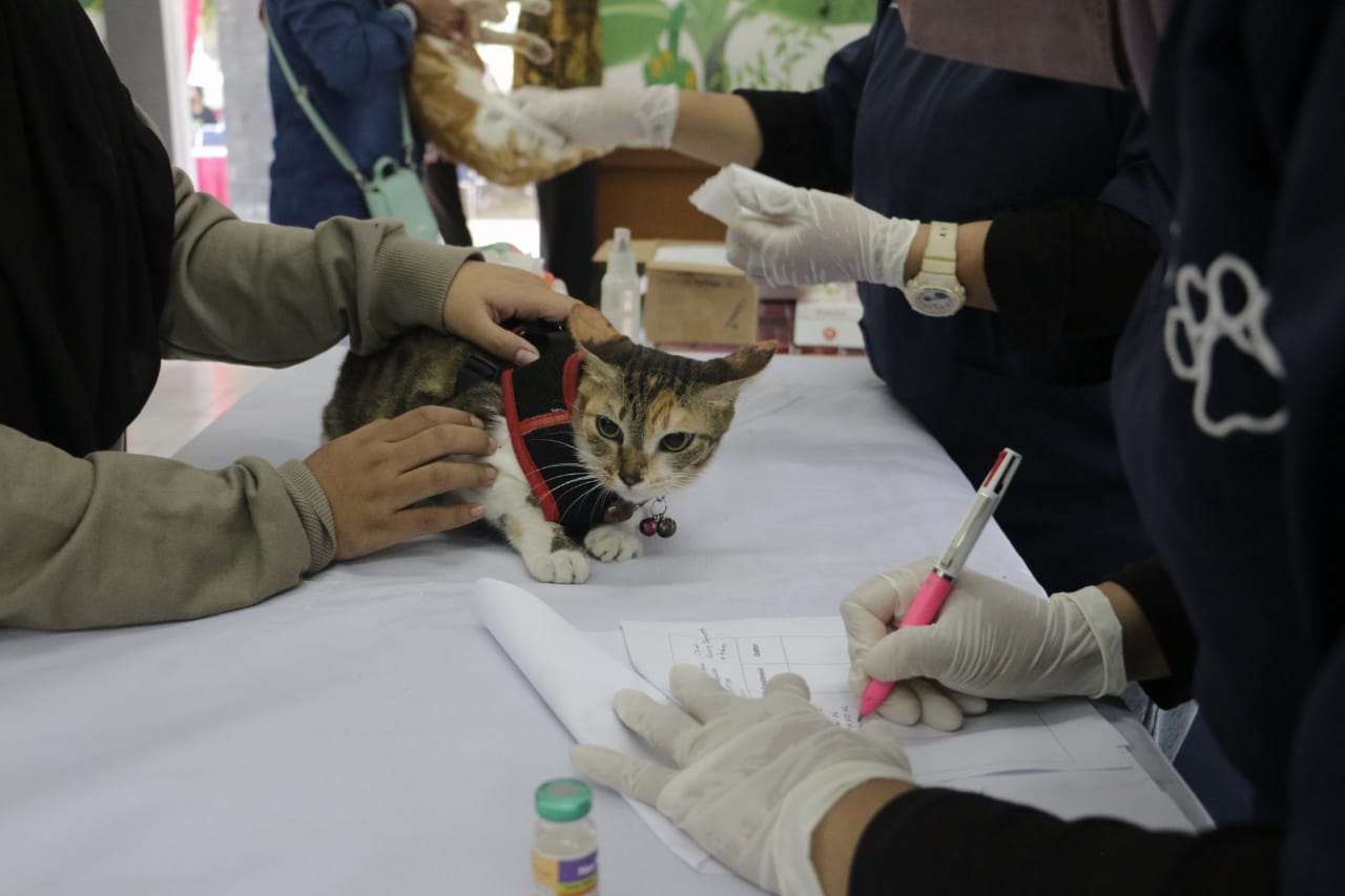 Foto 5 dari 11: Antisipasi Kasus Rabies, Warga Vaksin Hewan Peliharaan Di DKPP