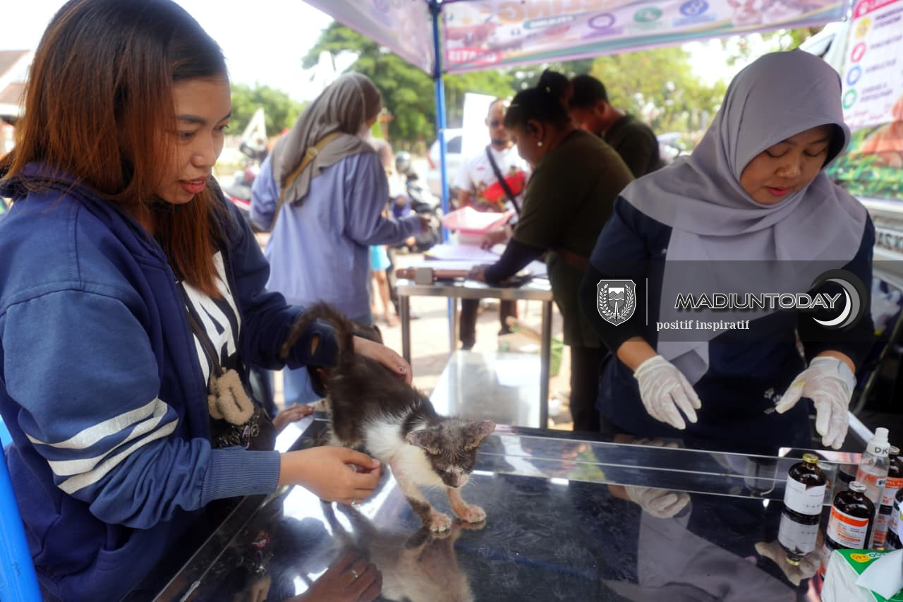 Foto 18 dari 19: Bukan Cuma yang Sakit, 100 Hewan Peliharaan Diperiksa Gratis di RTH Kanigoro