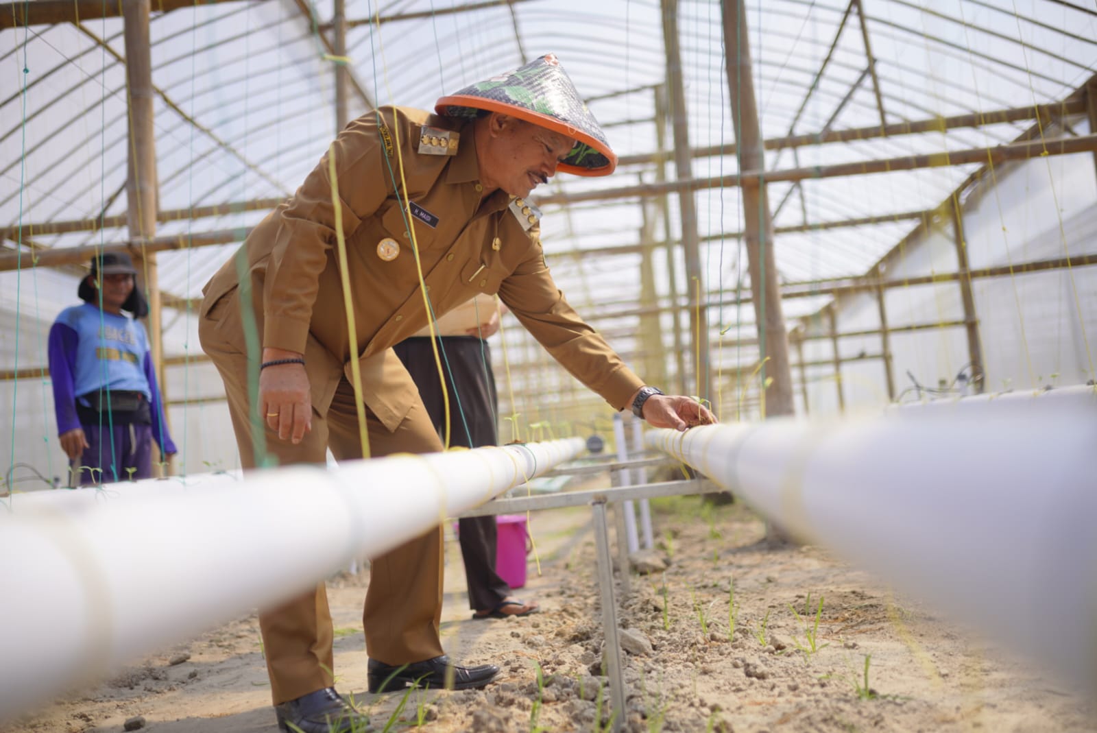 Foto 4 dari 6: Tingkatkan Hasil Panen Melon Ngrowo Bening, Wali Kota Adopsi Sistem Bercocok Tanam Ala Jepang