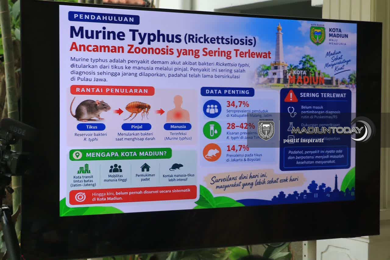 Foto 1 dari 4: Hasil Riset Tikus di Madiun, BRIN Temukan Bakteri Penyebab Demam Tikus pada Pinjal, Warga Diimbau Jaga Sanitasi