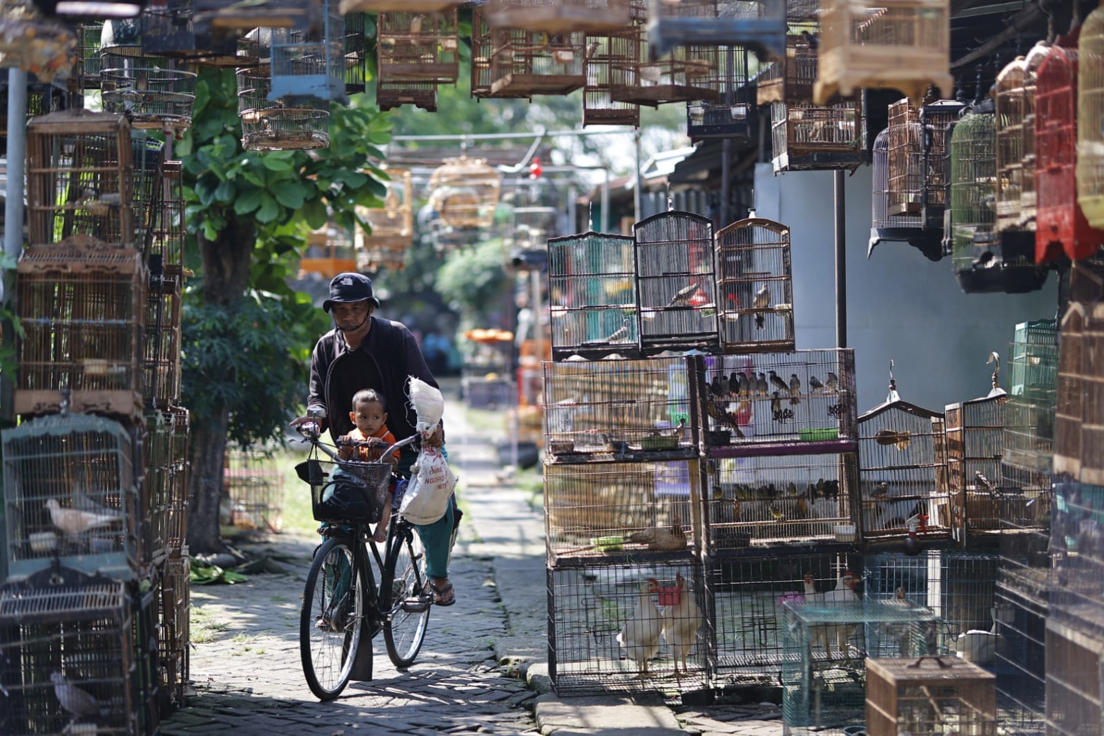 Foto 2 dari 9: Banyak Pengunjung Luar Kota, Pasar Burung Srijaya Buka Peluang Jadi Pasar Wisata