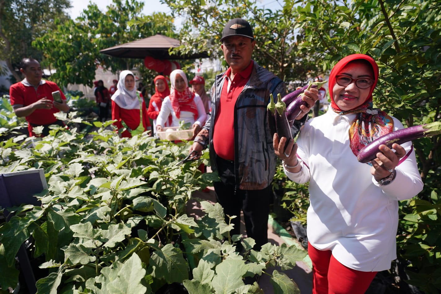 Foto 3 dari 9: Tinjau P2L Taman Asri, Wali Kota Panen Lele dan Sayur Mayur