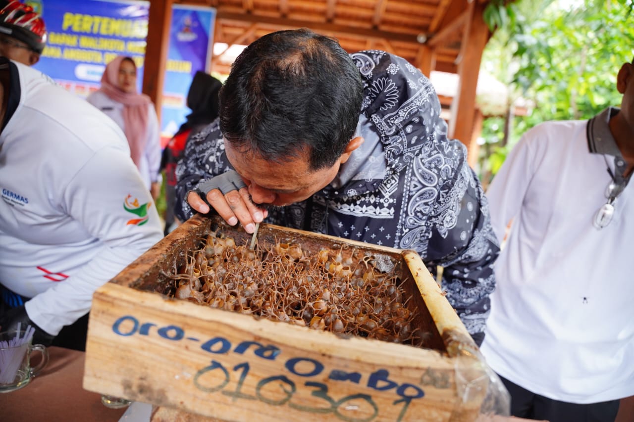 Foto 3 dari 6: Panen Madu di Kelurahan, Wali Kota: Budidaya Lebah Madu di Kelurahan Mulai Menghasilkan