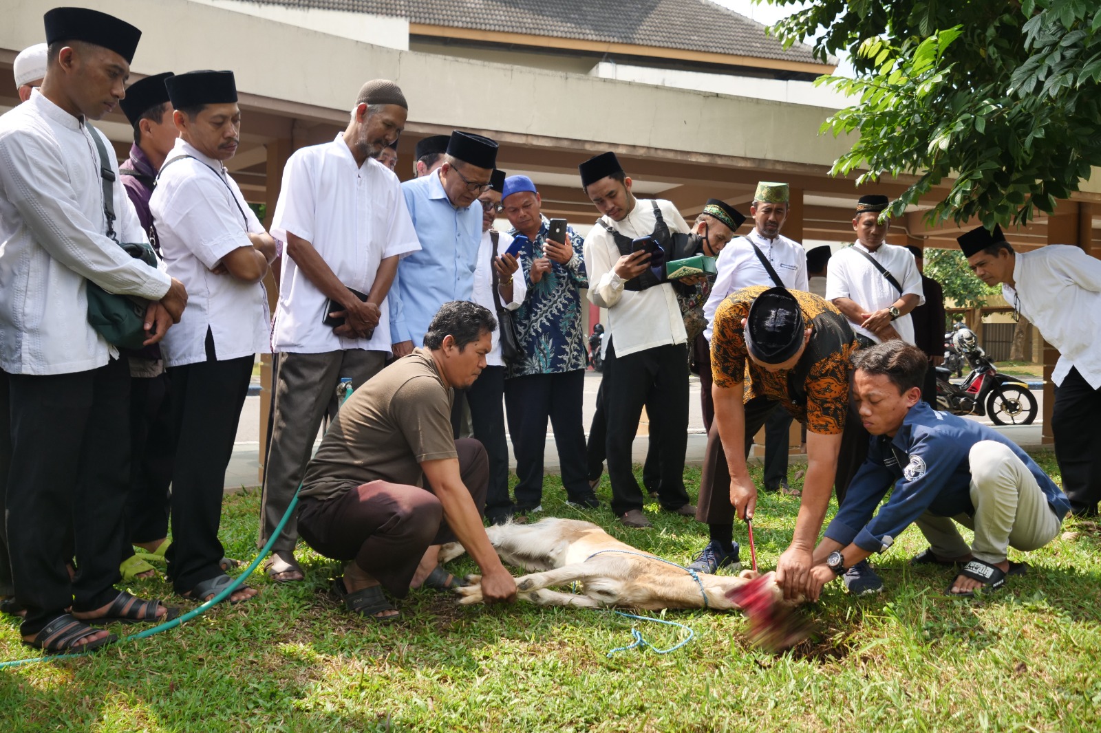 Foto utama berita: Jangan Sembarangan Menyembelih Hewan Kurban, Begini Kata MUI Soal Penyembelihan Sesuai Syariat Islam