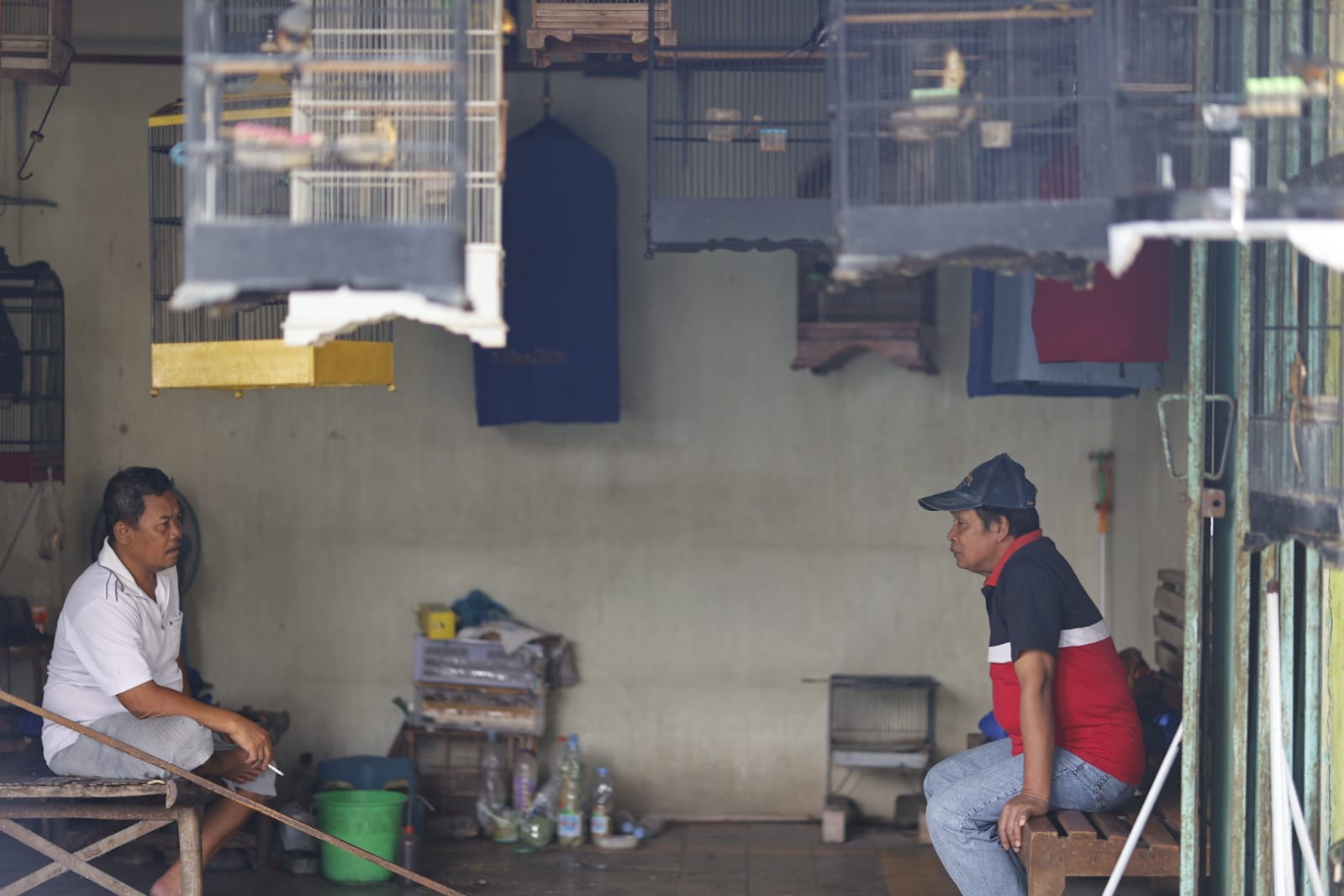 Foto 7 dari 9: Banyak Pengunjung Luar Kota, Pasar Burung Srijaya Buka Peluang Jadi Pasar Wisata