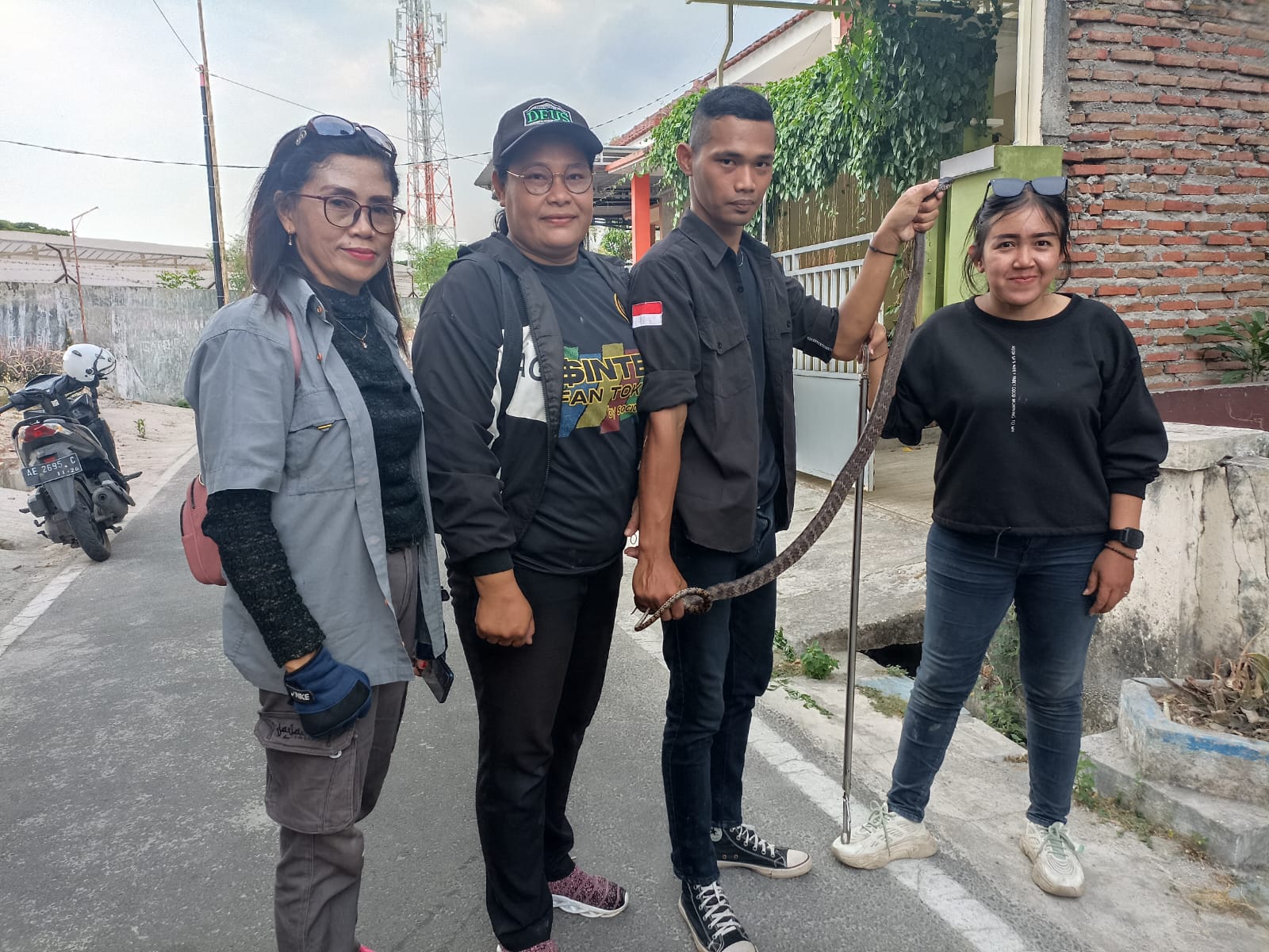Foto 3 dari 6: Ular Jali Masuk Rumah Warga, Tim Jaga Satwa Bantu Evakuasi