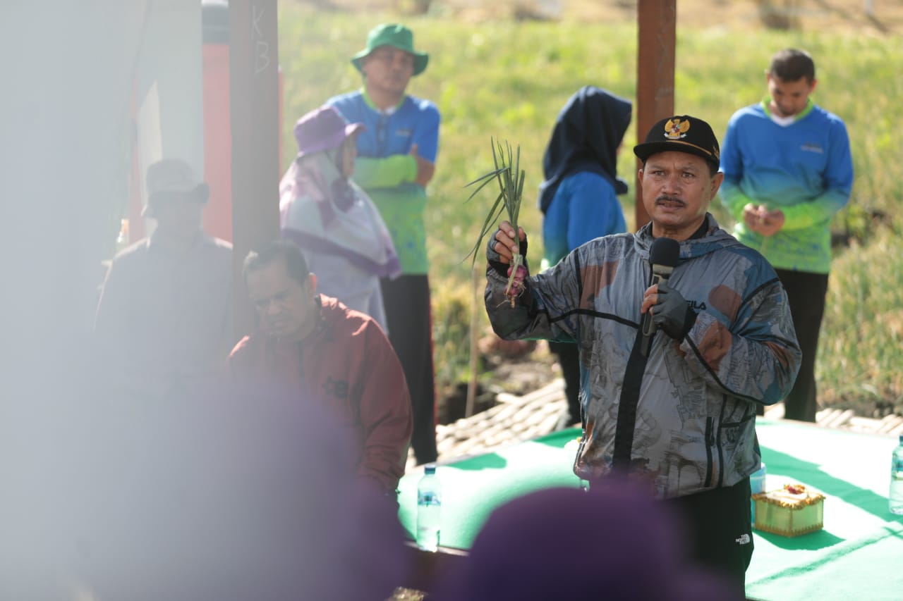 Foto 3 dari 7: Panen Bawang Merah, Wali Kota Gratiskan Aset Pemda untuk Uji Coba Pertanian