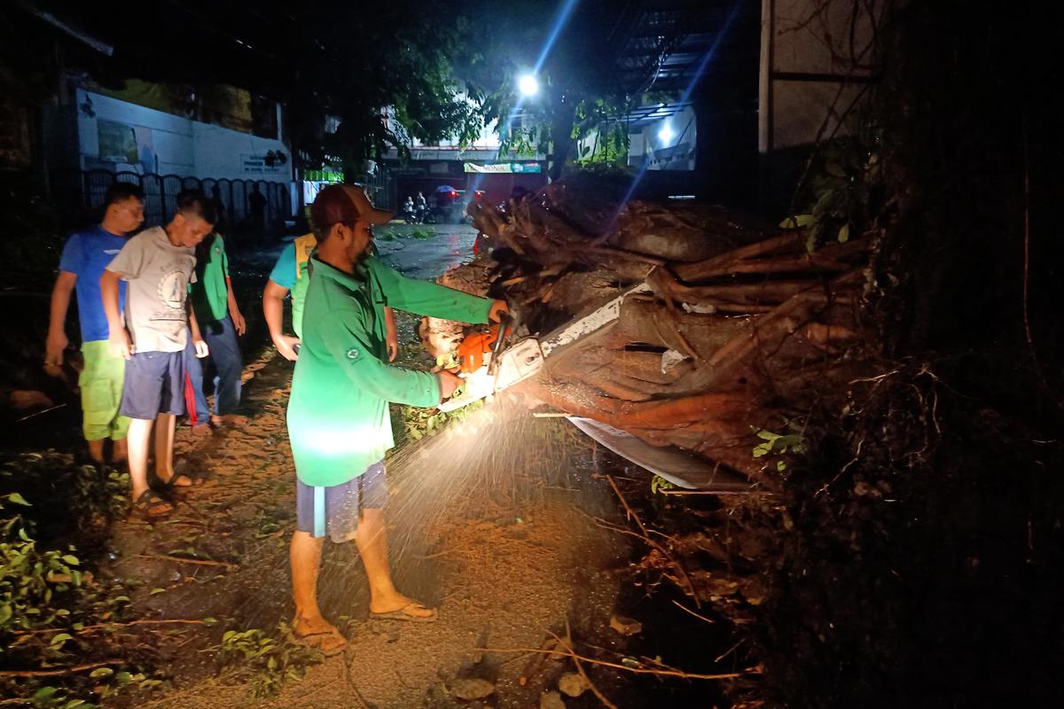 Foto 11 dari 22: Kota Madiun Diterjang Puting Beliung, Petugas Respon Cepat Bersihkan Area Terdampak