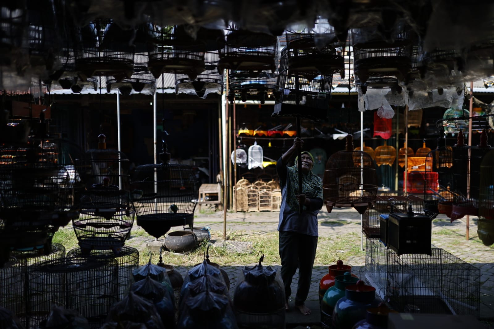 Foto 9 dari 9: Banyak Pengunjung Luar Kota, Pasar Burung Srijaya Buka Peluang Jadi Pasar Wisata