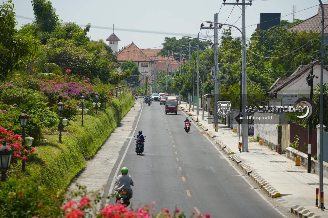 Foto 4 dari 5: Tabebuya Mekar Hiasi Kota, Jalan Ahmad Yani Jadi Sasaran Penanaman Berikutnya