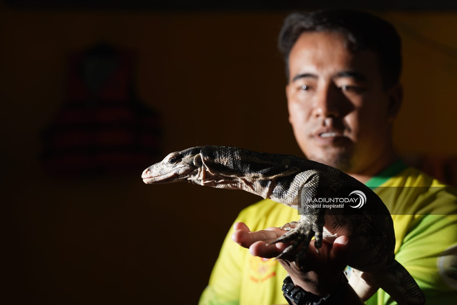 Foto 6 dari 8: Hobi Pelihara Reptil, Anggie Hilda: Mudah Rawat Ular Piton Daripada Ayam