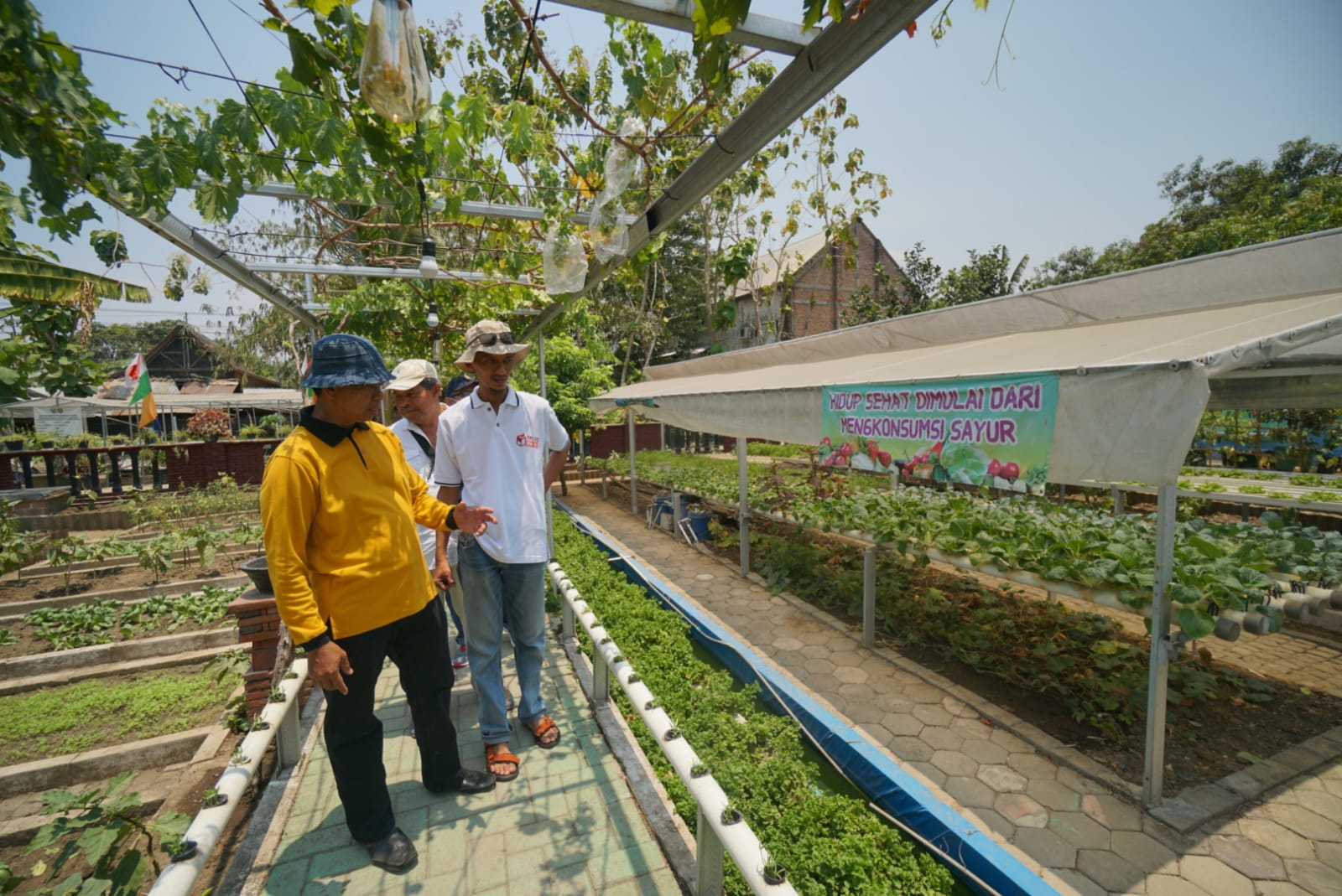 Foto 3 dari 11: Terima Kunjungan Studi Banding Dari Surakarta, Ketua TP PKK Paparkan Proklim Di Kota Pendekar