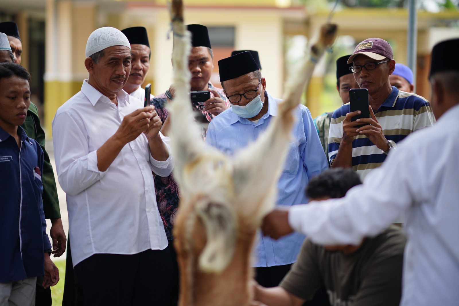 Foto 4 dari 4: Jangan Sembarangan Menyembelih Hewan Kurban, Begini Kata MUI Soal Penyembelihan Sesuai Syariat Islam