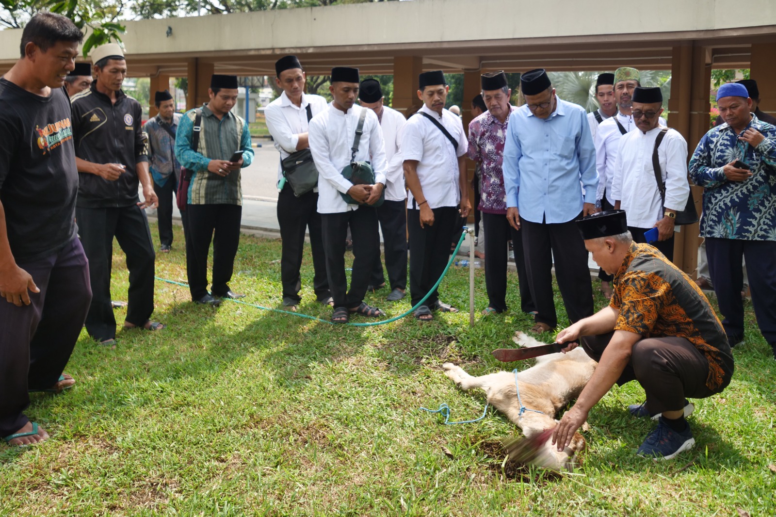 Foto 3 dari 4: Jangan Sembarangan Menyembelih Hewan Kurban, Begini Kata MUI Soal Penyembelihan Sesuai Syariat Islam